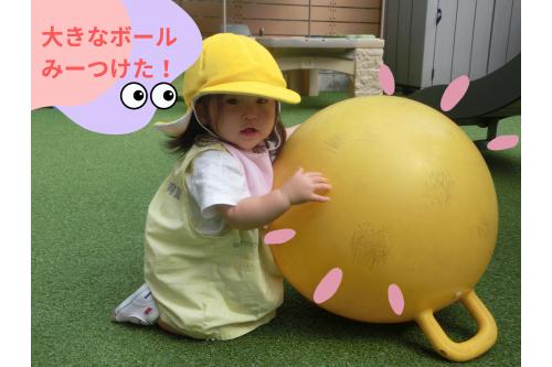 <span style='color:#ff00ff;'>大きなボール</span>を見つけると<br><span style='color:#007fff;'>頑張って持とうと</span>したり大玉ころがしのように<br>コロコロ転がしたり<span style='color:#7fff00;'>♪</span><br><br><span style='color:#ff007f;'>遊び方が日々変わり</span>驚くこともたくさんです！<br>