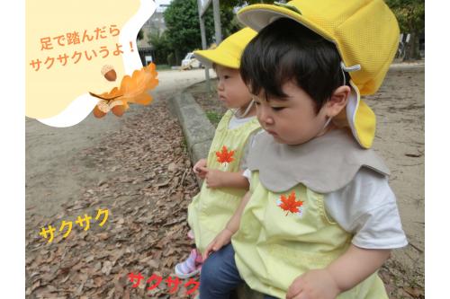 園庭だけでなく<span style='color:#ff007f;'>公園</span>にも<br>お出かけしました！<br><br>座っているだけのように見えますが<br>実は<span style='color:#00ff00;'>足元にある落ち葉</span>を<br>踏みしめて<span style='color:#ff7f00;'>サクサクなる音</span>を<br>楽しんでいます<span style='color:#00ffff;'>♪</span><br><br>初めは<span style='color:#ff007f;'>不思議そうな表情</span>で<br><span style='color:#007fff;'>踏みしめて</span>いましたが<br>どんどん強く踏んで音を楽しんでいましたよ<span style='color:#007fff;'>♪</span><br><br>歩くことも<span style='color:#7f00ff;'>上手になってきた</span>ひよこチームなので<br>散策を楽しんでいきたいと思います♪<br><br><br>また、次回のブログもお楽しみに<span style='color:#ffff00;'>★</span>