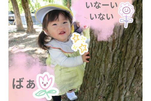 <span style='color:#ff962d;'>木</span>を見つけるたびに<br><span style='color:#2dff96;'>いないいないばあっ</span>！を<br>披露するおともだちも<br>いましたよ<span style='color:#ff2893;'>♡</span>