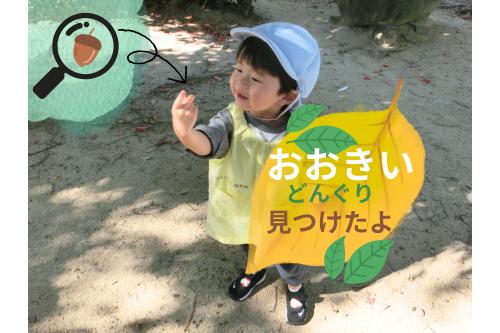 <span style='color:#ff9b38;'>りすチームさん（１歳児）</span>は<br><span style='color:#2dff2d;'>自然物散策</span>へ！<br><br>ブームの<span style='color:#ff2dff;'>ドングリ</span>を見つけると<br>嬉しそうに先生やおともだちに<br><span style='color:#2893ff;'>見せて</span>いましたよ♪<br>