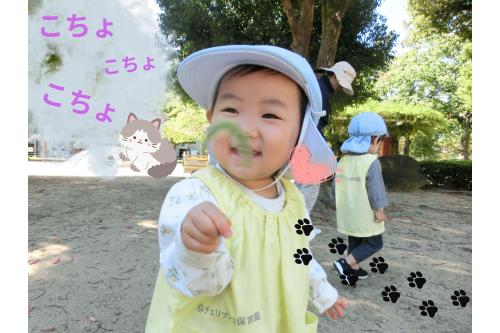 <span style='color:#96ff2d;'>猫じゃらし</span>を見つけて<br>「<span style='color:#9b38ff;'>こちょこちょ～♡</span>」と<br>自然物に触れて<br><span style='color:#ff3838;'>遊んで</span>いましたよ★<br>