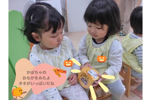 初めに<span style='color:#ff9e3d;'>かぼちゃ</span>そのものの<br>感触やにおいを感じてもらいました！<br><span style='color:#60ff60;'>「たねがいっぱいあるね～」</span><br>と<span style='color:#75baff;'>発見</span>することもできました！<br>