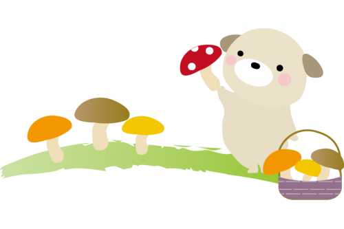 みなさんこんにちは<span style='color:#ff0000;'>☀</span><br><br>今年も残り<span style='color:#ffbc7a;'>2か月</span>を切りましたね<span style='color:#ff0000;'>！</span><br>毎年、<span style='color:#ff7f00;'>秋の期間</span>が<span style='color:#7abcff;'>短く</span>なっていると感じるのは<br>気のせいでしょうか…<span style='color:#bc7aff;'>？</span><br><br><span style='color:#ff7f00;'>秋</span>には<span style='color:#ff7abc;'>旬</span>の美味しいものが<span style='color:#ff7aff;'>たくさん</span>あるのに<br>悲しい<span style='color:#7abcff;'>(*_*)</span><br><br><span style='color:#ff7a7a;'>子どもたち</span>にも<span style='color:#ffbc7a;'>秋の味覚</span>を感じてもらおうと<br>「<span style='color:#7aff7a;'>きのこ狩り</span>」を行ったので<br>その様子をご紹介します<span style='color:#7a7aff;'>♪</span>