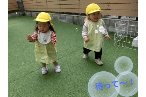 先生がたくさん作ってくれたしゃぼん玉を<br><span style='color:#ff7f00;'>まてまて～！</span>と追いかけてニコニコ<span style='color:#ff00ff;'>(*^^*)</span><br>この日は風も少なく<br>みんなの手の届くところに<br>たくさんの<span style='color:#7f00ff;'>しゃぼん玉が♡</span>